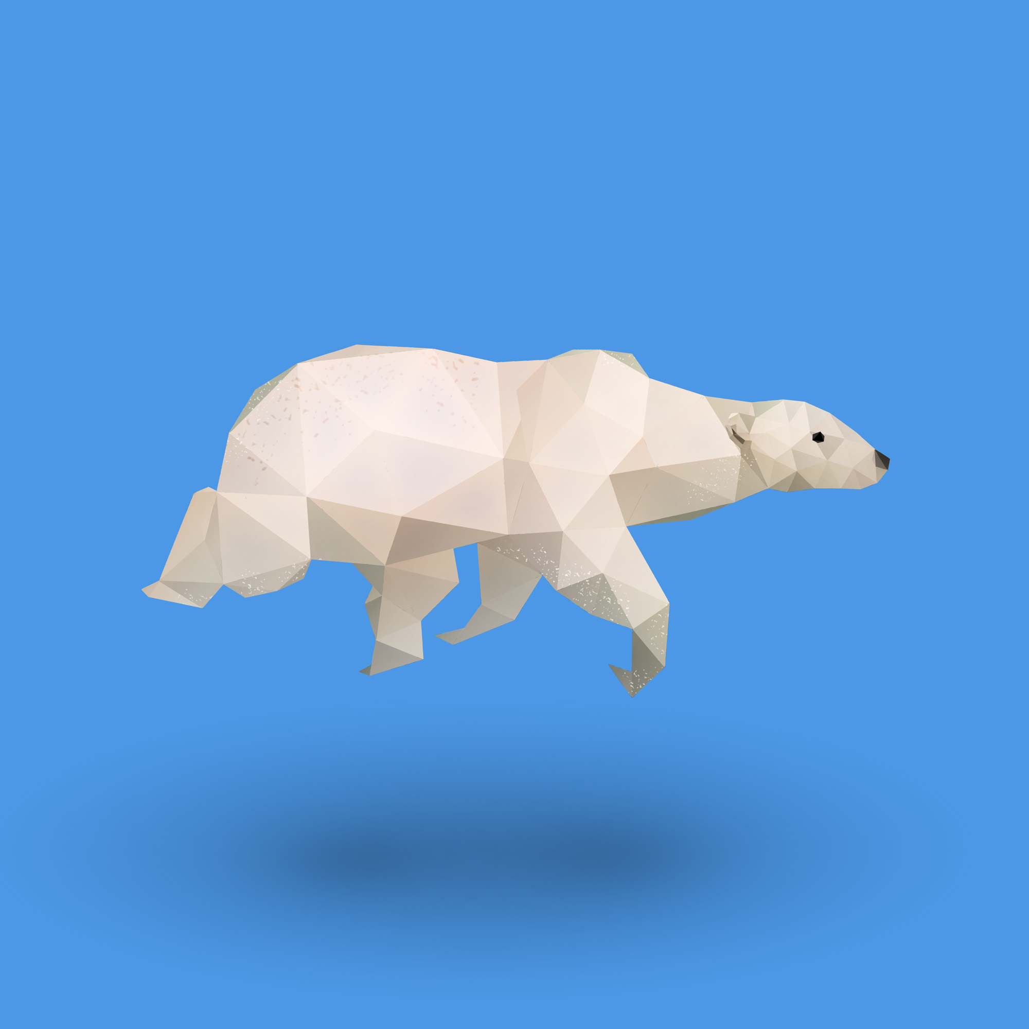 diana-dachille-polar-bear-dianas-animals