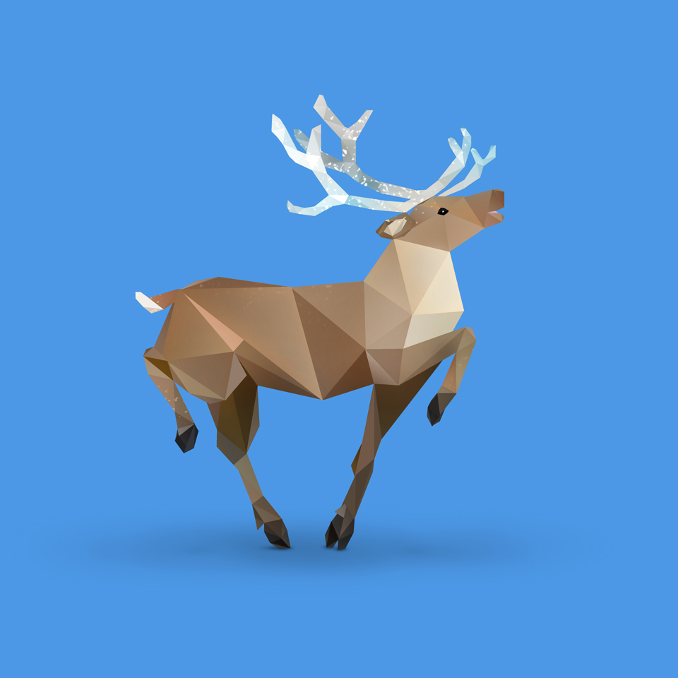 reindeer-dianas-animals-960